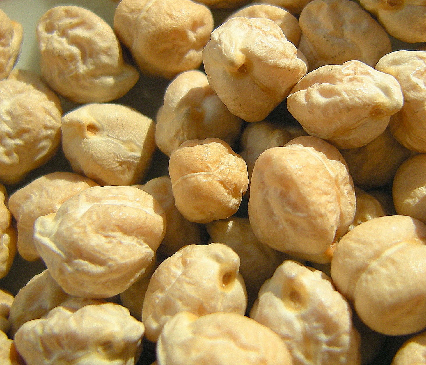 Tas de pois chiches secs, teintes beiges et brunes, texture granuleuse